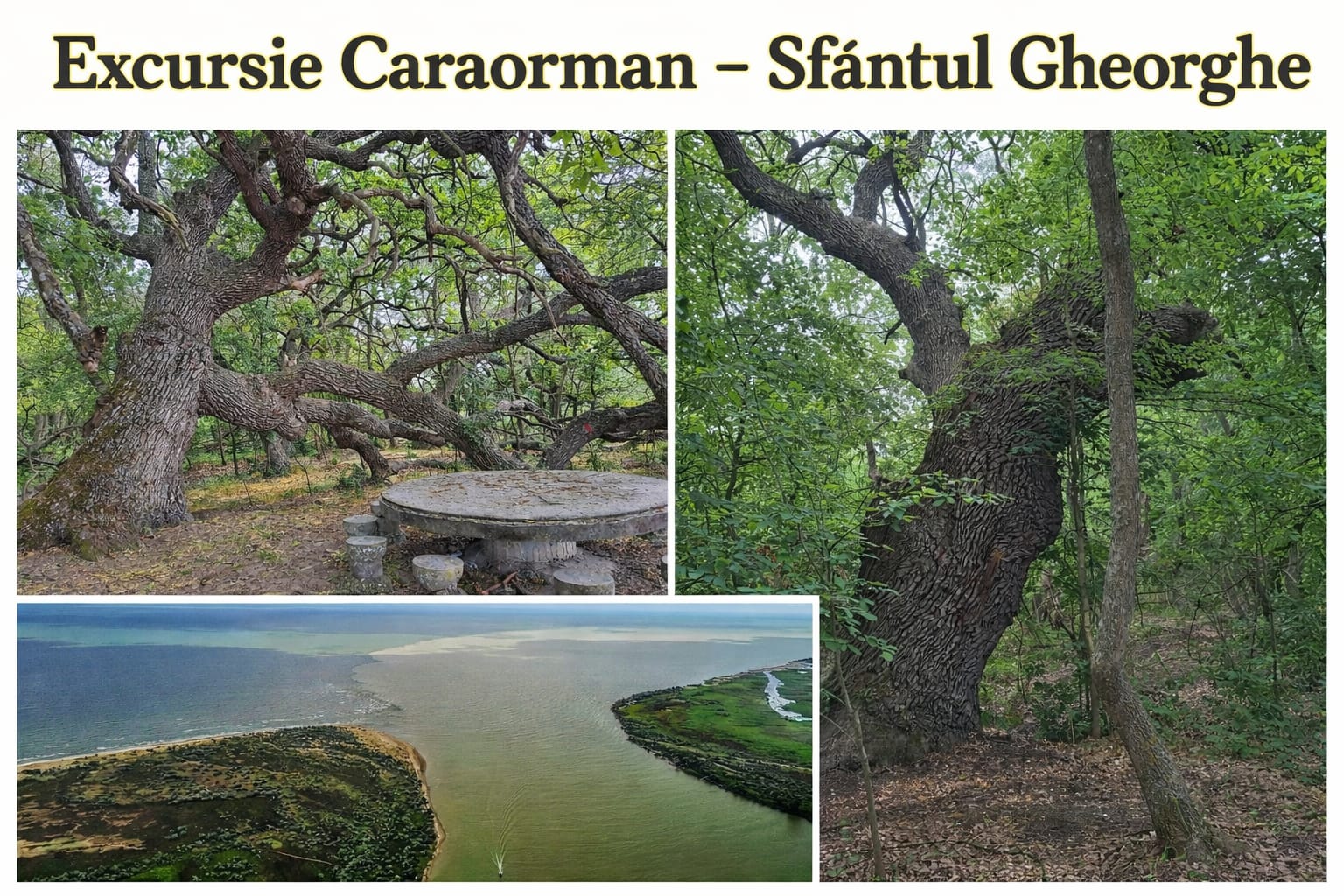 Excursie cu barca Caraorman si Sfantul Gheorghe